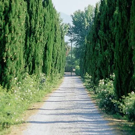 Fattoria Di Migliarino