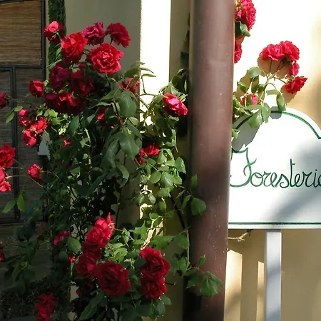 Fattoria Di Migliarino