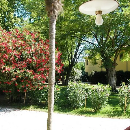 Fattoria Di Migliarino *