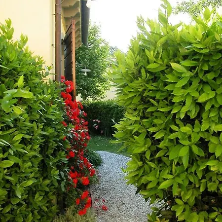 Fattoria Di Migliarino Séjour à la ferme